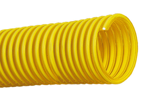 YELLOW RYLASPIR